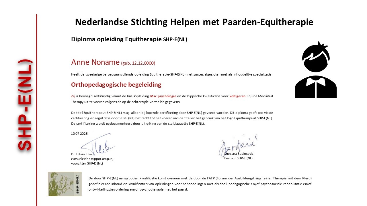 Diploma voorbeeld